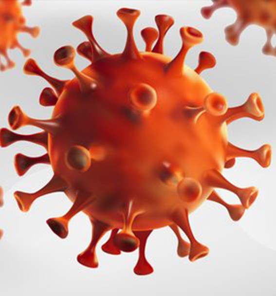 Das SARS-2-Coronavirus hat natürliche Insertionen an der S1/S2-Spaltungsstelle